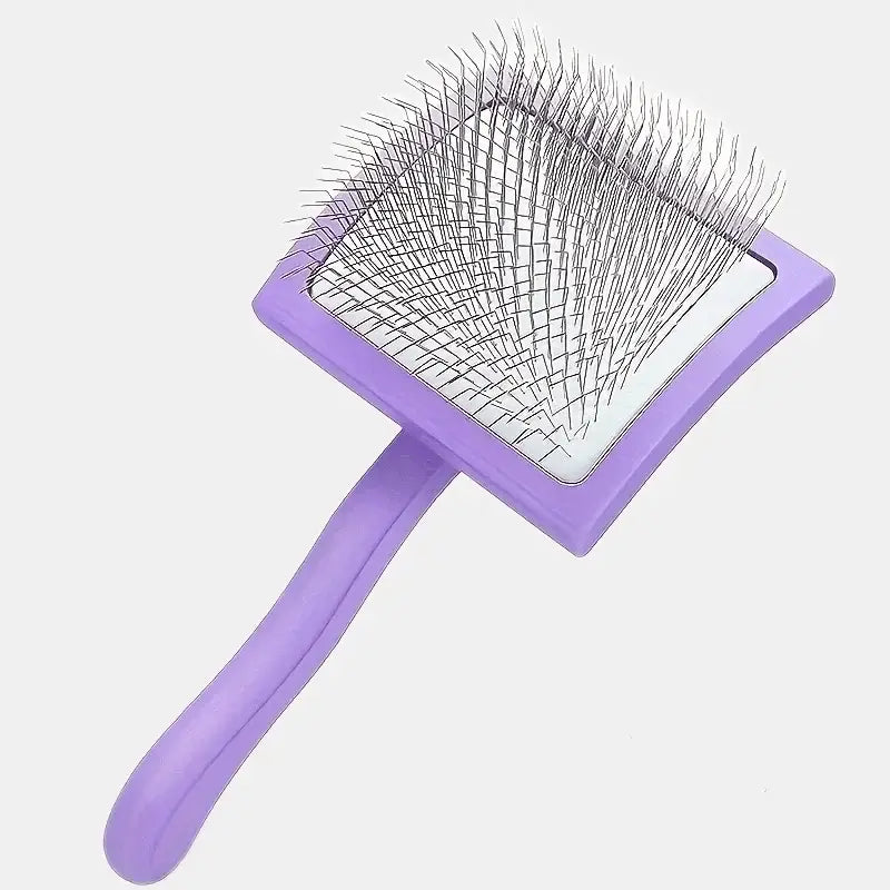 Brosse à picots longs pour chien - Purple