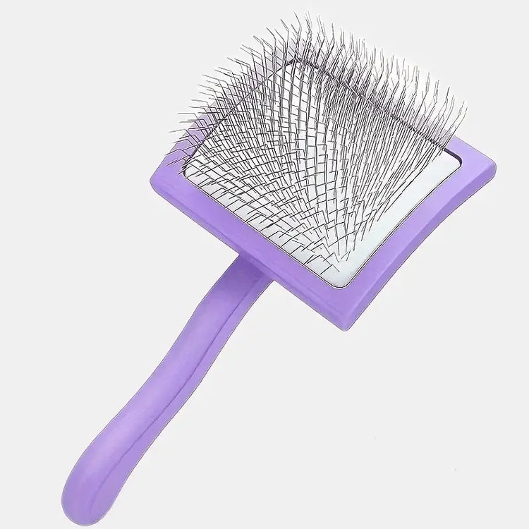 Brosse à picots longs pour chien - Purple