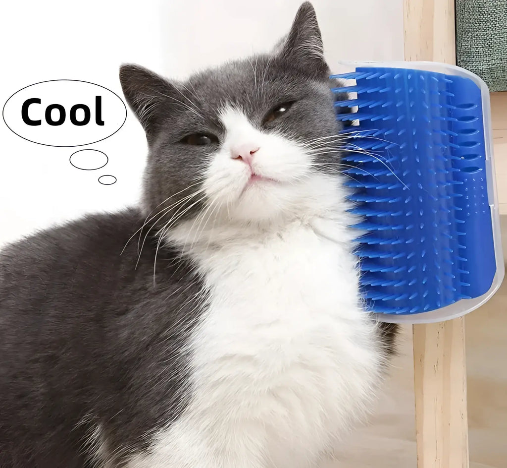 Massage Pet Cat Brush Corner Scrape Hair Removal Beauty Clean Corner Brush Removable Scratcher Comb for Kitten Cat