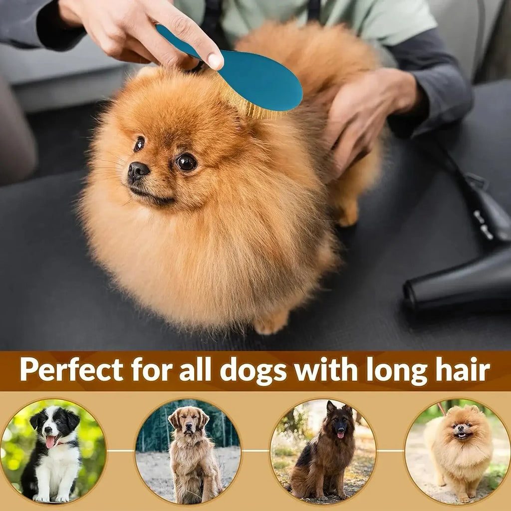 Brosse de toilettage pour animaux - Blue