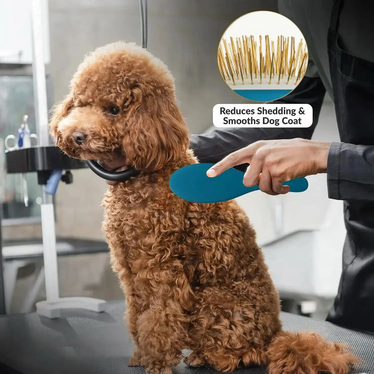 Brosse de toilettage pour animaux - Blue