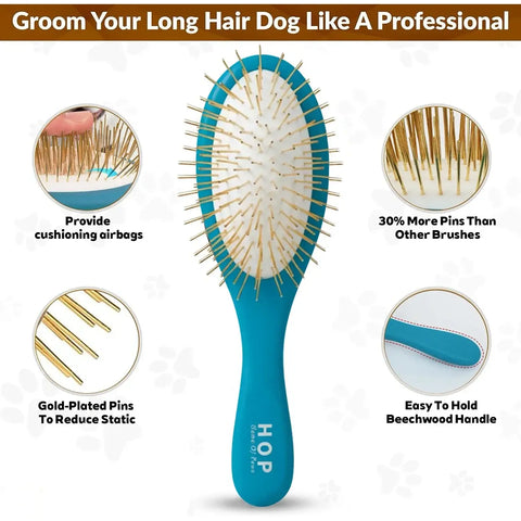 Brosse de toilettage pour animaux - Blue