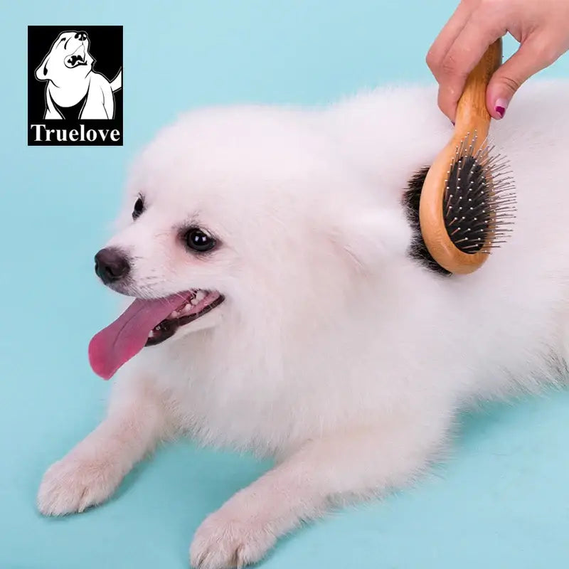 Brosse double face pour animaux