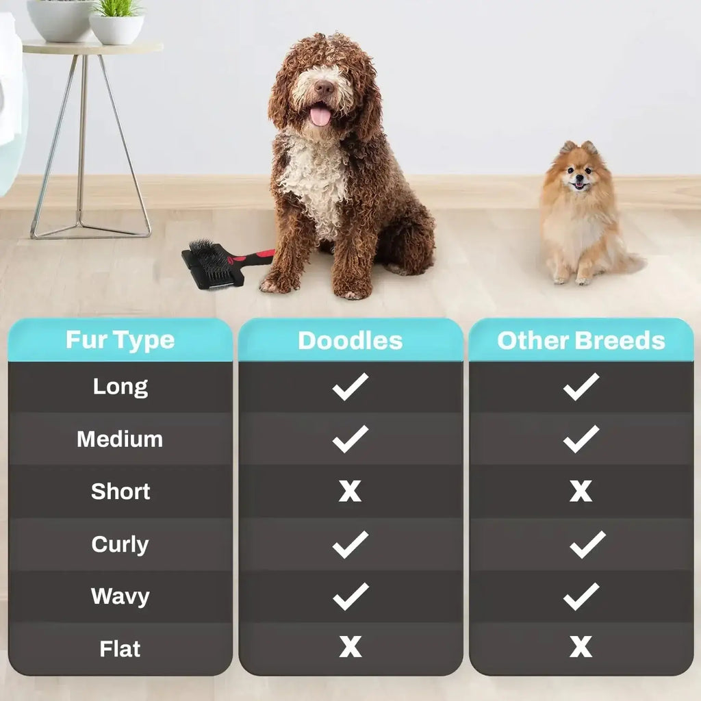Brosse double face pour animaux - Black / Pet brush