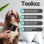 Brosse double face pour animaux - Black / Pet brush