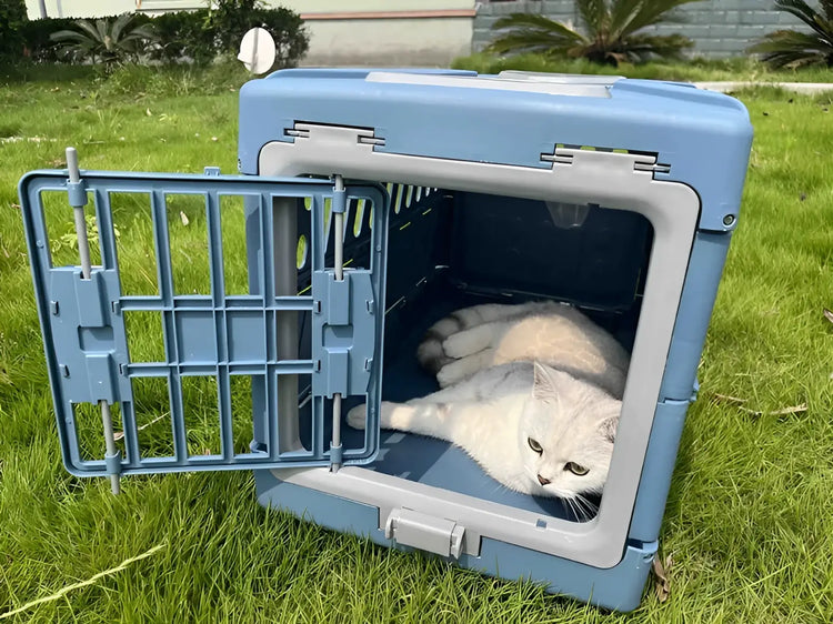 Pet Supplies Car Portable Cat Cage Portable Foldable Flight Case Breathable Kennel For Outing Pet Check-in Box