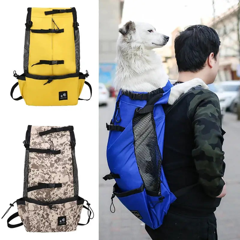 Cage de transport pour animaux
