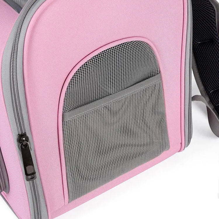 Cage de transport pour chat