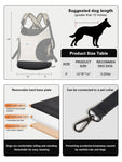 Cage de transport pour chat et petit chien
