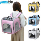 Cage de transport pour chat