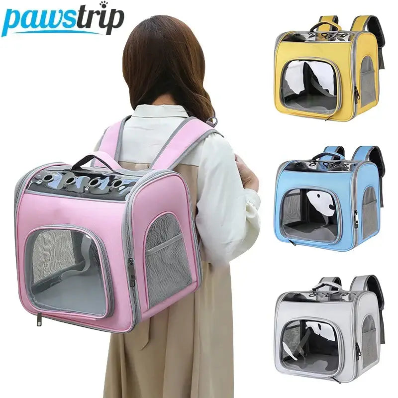Cage de transport pour chat