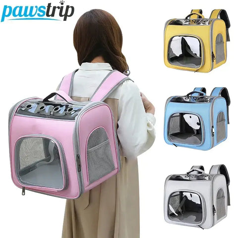 Cage de transport pour chat