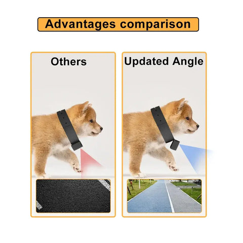 Caméra collier HD pour animaux
