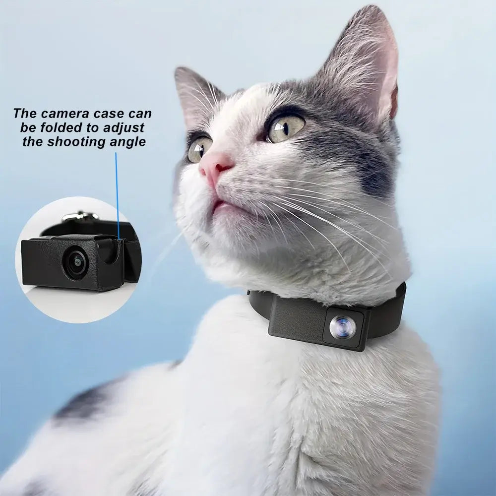 Caméra collier HD pour animaux