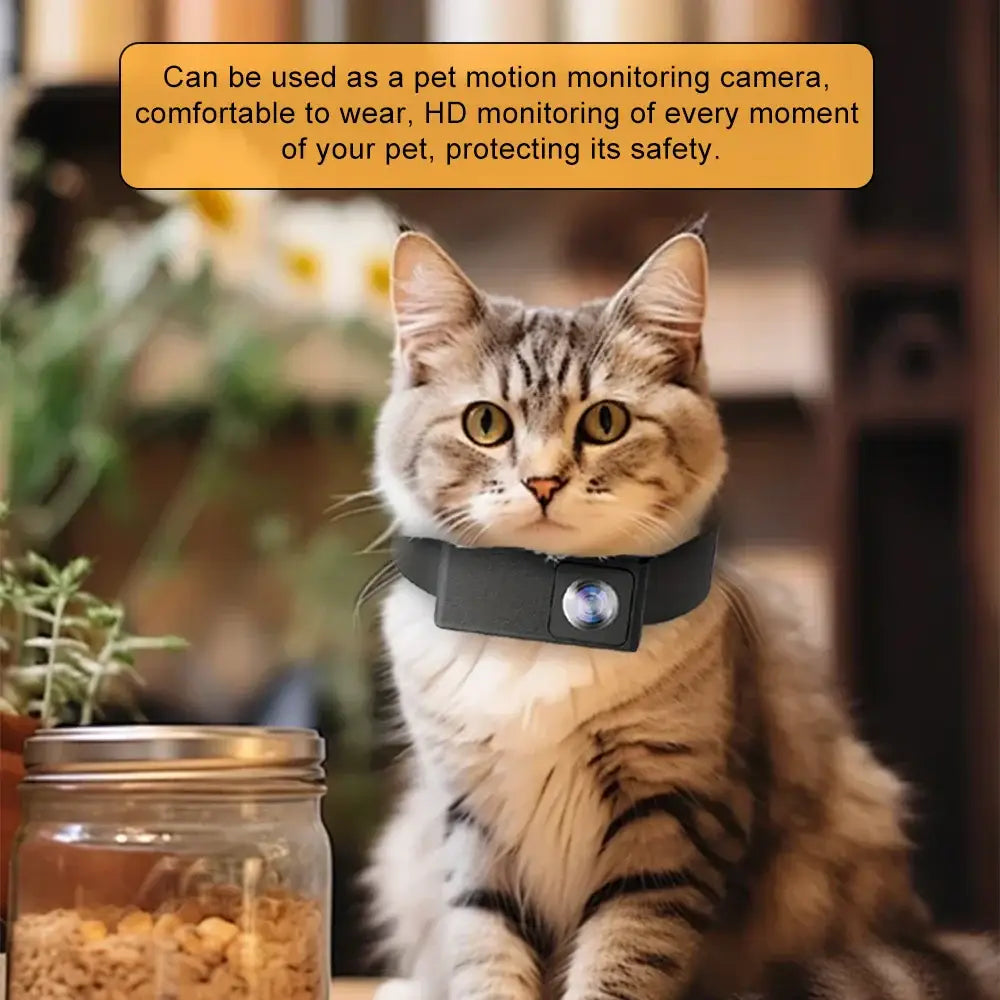 Caméra collier HD pour animaux