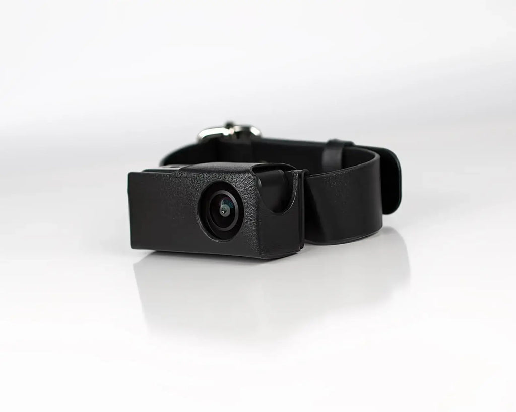 Caméra collier HD pour animaux - X6 Collar pet camera / with 32GB