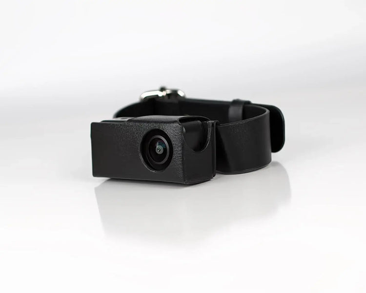 Caméra collier HD pour animaux - X6 Collar pet camera / with 32GB