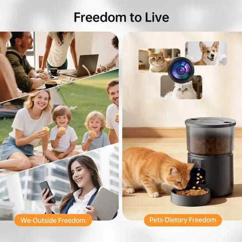 Camera Pet Feeder Timing Smart Automatic Feeder For Cats Dog Tuya WIFI APP Video Intelligent Dry Food Dispenser
