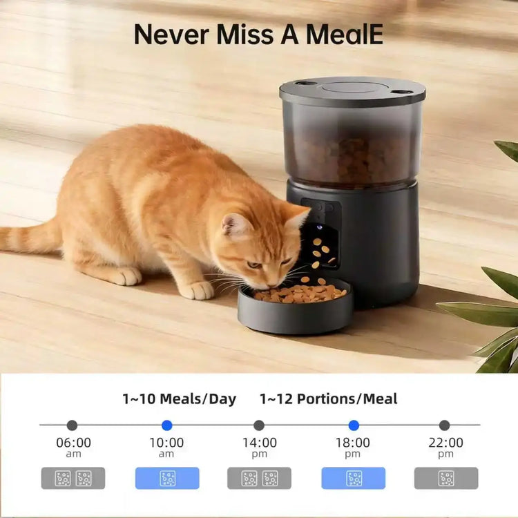 Camera Pet Feeder Timing Smart Automatic Feeder For Cats Dog Tuya WIFI APP Video Intelligent Dry Food Dispenser