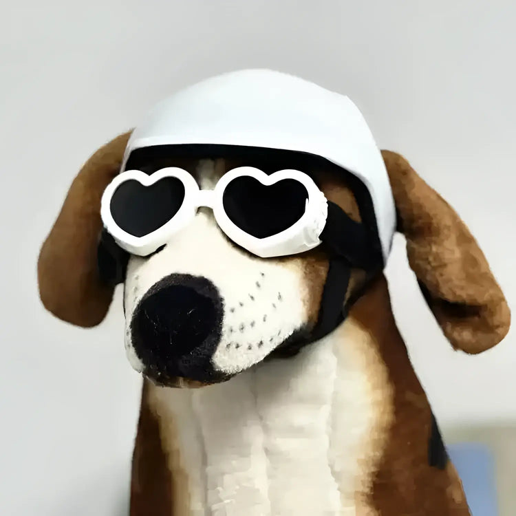 Pet Helmets,Cat Helmet,Dog Helmet-Outdoor Mini Head Protecting Safe Hat Dog Motorcycle Helmet Pet Photo Props Accessorie