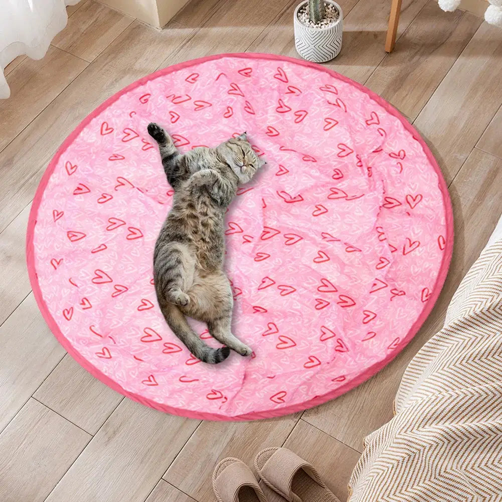 Cat Ball Hunting Exercise Mat Simulate Cat Interactive Hunting Toy Indoor Cat Exercise Mat Boredom Relief Cat Toy For