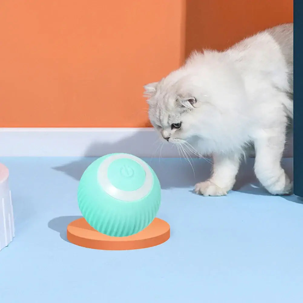 Cat Ball Hunting Exercise Mat Simulate Cat Interactive Hunting Toy Indoor Cat Exercise Mat Boredom Relief Cat Toy For