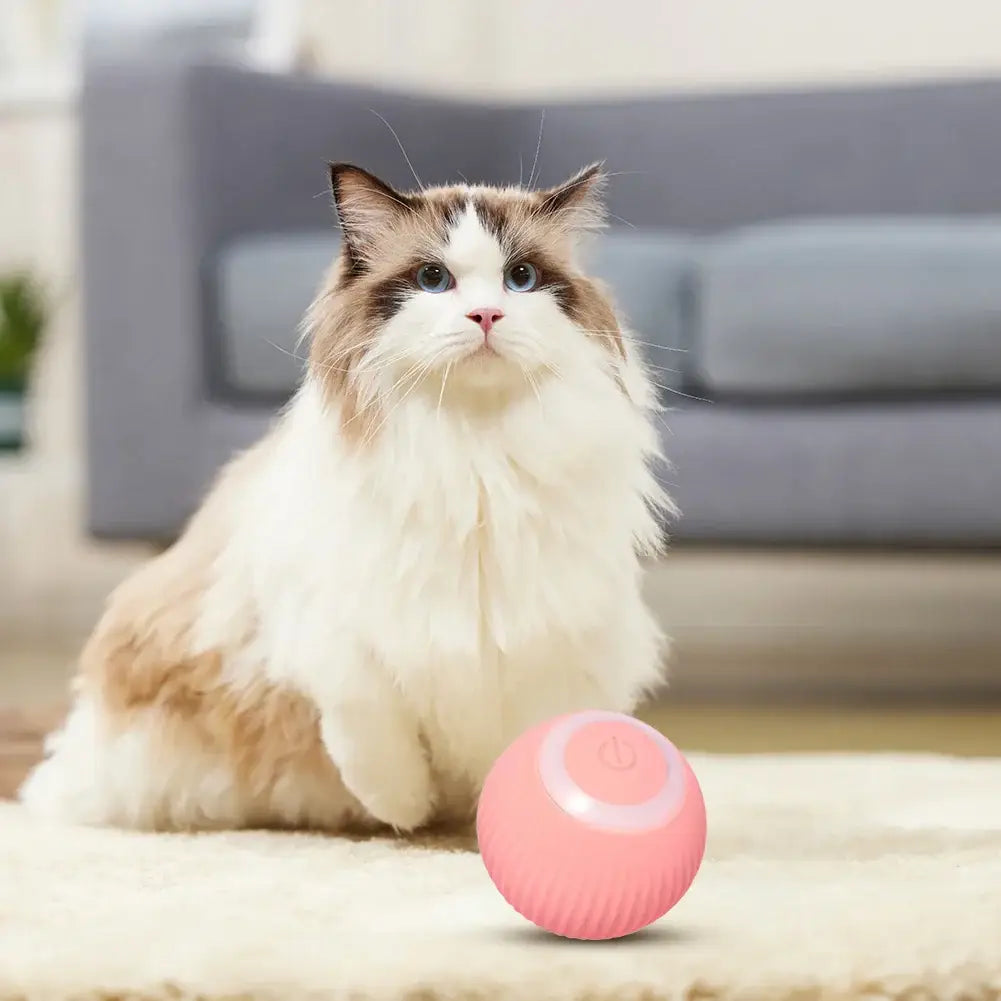 Cat Ball Hunting Exercise Mat Simulate Cat Interactive Hunting Toy Indoor Cat Exercise Mat Boredom Relief Cat Toy For