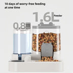 Cat Bowl Automatic Feeder with Spill Proof Design with Water Fountain Pet Food Dispenser for Small Medium Large Cats
