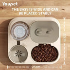 Cat Bowl Automatic Feeder with Spill Proof Design with Water Fountain Pet Food Dispenser for Small Medium Large Cats