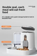 Cat Bowl Automatic Feeder with Spill Proof Design with Water Fountain Pet Food Dispenser for Small Medium Large Cats