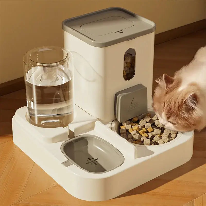 Cat Bowl Automatic Feeder with Spill Proof Design with Water Fountain Pet Food Dispenser for Small Medium Large Cats