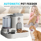 Cat Bowl Automatic Feeder with Spill Proof Design with Water Fountain Pet Food Dispenser for Small Medium Large Cats