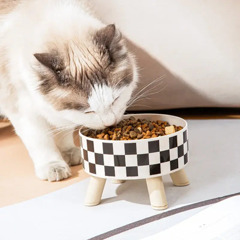 Cat Bowls New Stainless Steel Raised Cat Bowl Pet Food and Water Bowls Anti-Slip Pet Feeders for Cats and Dogs Pet