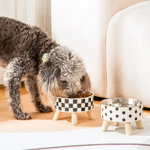 Cat Bowls New Stainless Steel Raised Cat Bowl Pet Food and Water Bowls Anti-Slip Pet Feeders for Cats and Dogs Pet