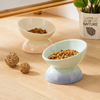 Cat Ceramic Bowl Gradient Pet Food Water Feeders Small Dogs Drinking Eating Supplies Raised Tilted Cats Puppy Feeding