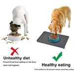 Cat Dog Food Mat For Pet Feeding Bowl Floors Waterproof Non Slip Silicone Pet Bowl Mat - High-Lipped Non-Stick