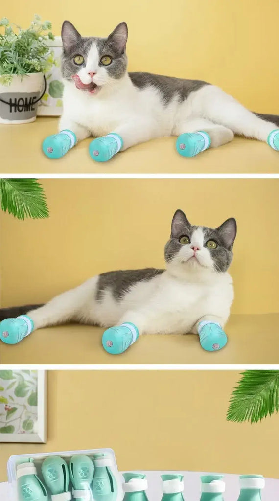 Cat foot anti-scratch and anti-bite cat headgear bath and nail clipping handy gadget injections feeding medicine beauty,