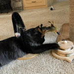 Cat grooming device indoor cat brush toy arch grooming device cat massager toy - black