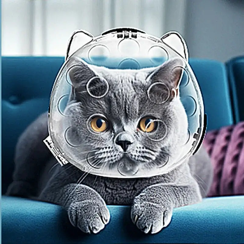 Cat Head Cover Portable Transparent Prevent Biting and Scratching Breathable Safety Travel Cat Carrier Bag Cats Pet