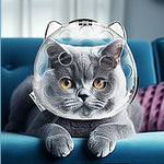 Cat Head Cover Portable Transparent Prevent Biting and Scratching Breathable Safety Travel Cat Carrier Bag Cats Pet