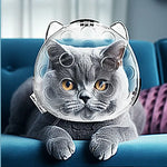 Cat Head Cover Portable Transparent Prevent Biting and Scratching Breathable Safety Travel Cat Carrier Bag Cats Pet