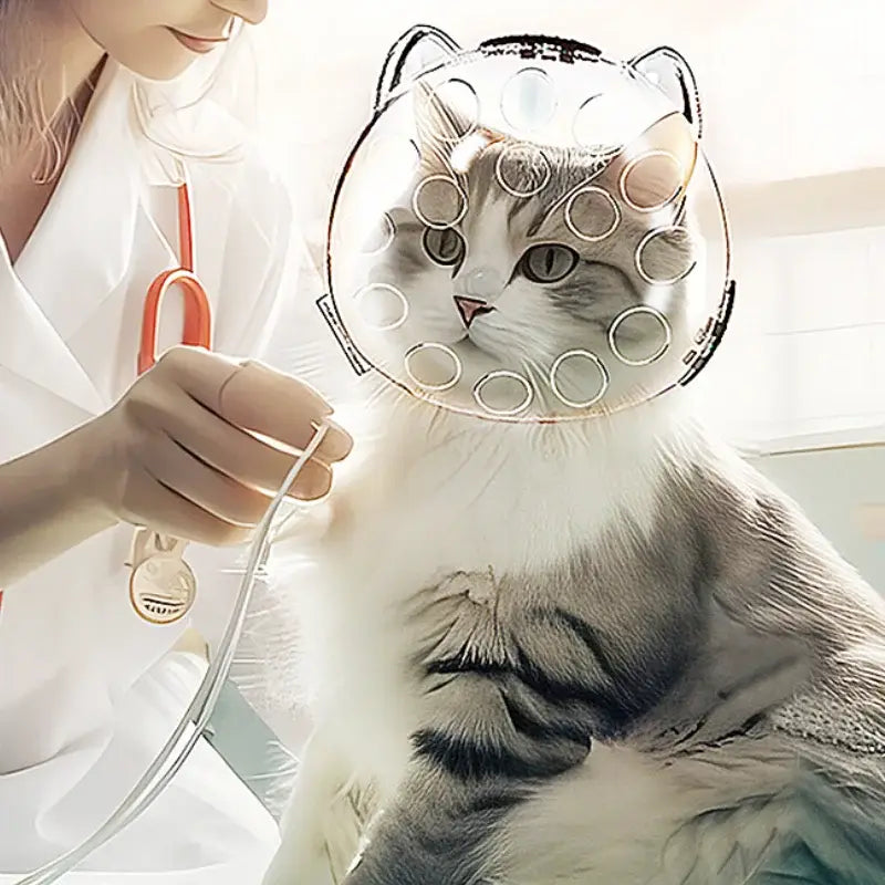 Cat Head Cover Portable Transparent Prevent Biting and Scratching Breathable Safety Travel Cat Carrier Bag Cats Pet