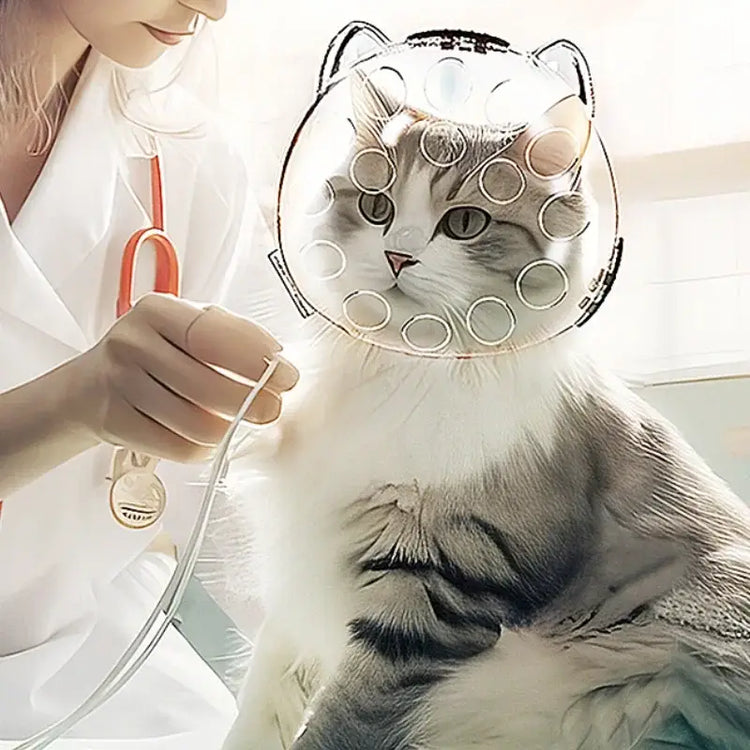 Cat Head Cover Portable Transparent Prevent Biting and Scratching Breathable Safety Travel Cat Carrier Bag Cats Pet