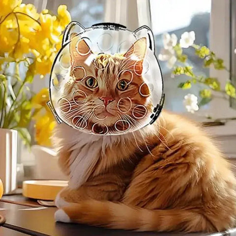 Cat Head Cover Portable Transparent Prevent Biting and Scratching Breathable Safety Travel Cat Carrier Bag Cats Pet