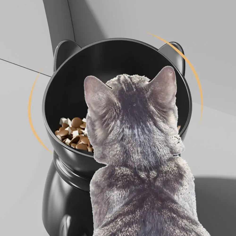 Cat Head Elevated Pet Bowls - Neck Protection Anti-Black Chin Anti-Spill Food & Water Bowls for Cats Ergonomic Feeding
