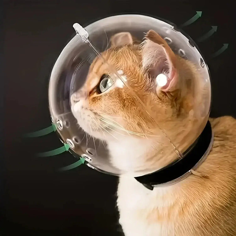 Cat head protection ball pet grooming accessories breathable mask swimming helmet cat supplies