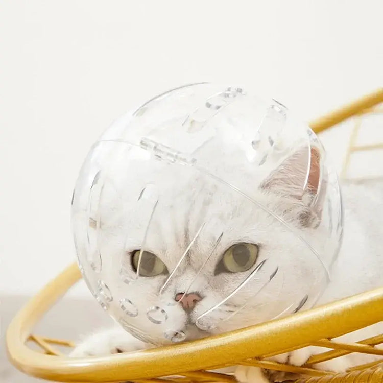 Cat head protection ball pet grooming accessories breathable mask swimming helmet cat supplies