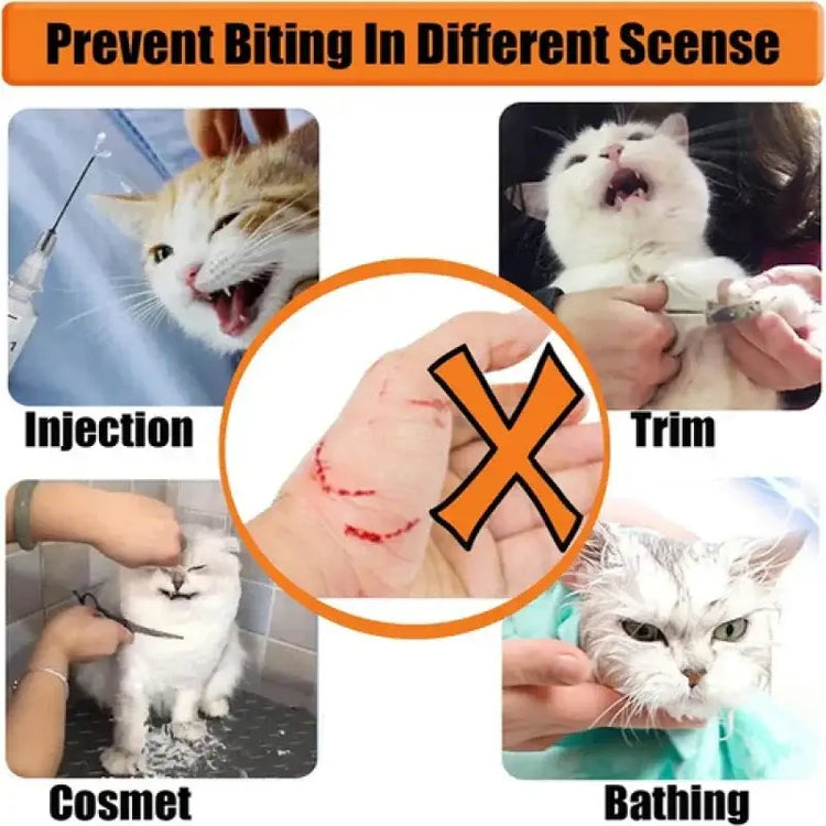 Cat head protection ball pet grooming accessories breathable mask swimming helmet cat supplies
