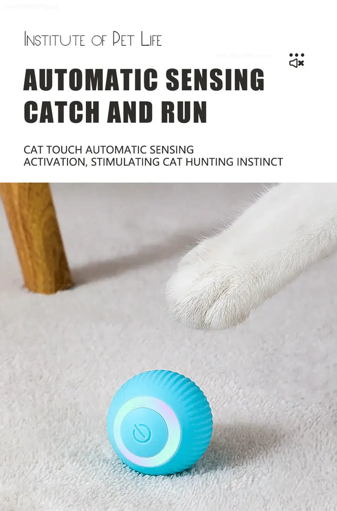 Cat Interactive Ball Smart Cat Toys Electronic Interactive Cat Toy Indoor Automatic Rolling Magic Ball PetAccessories