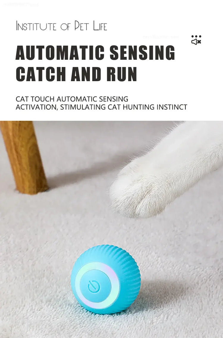 Cat Interactive Ball Smart Cat Toys Electronic Interactive Cat Toy Indoor Automatic Rolling Magic Ball PetAccessories